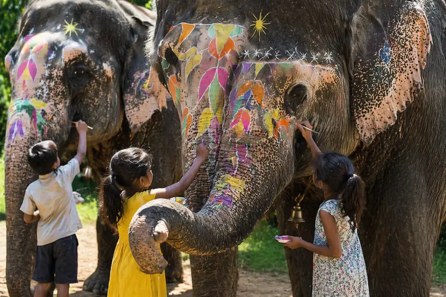 Beautify the Elephant
